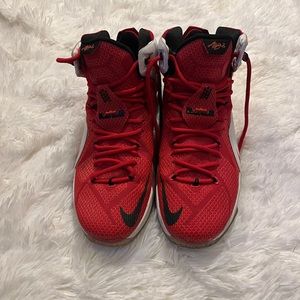 Lebron, heart of a lion